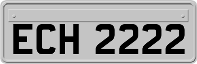 ECH2222