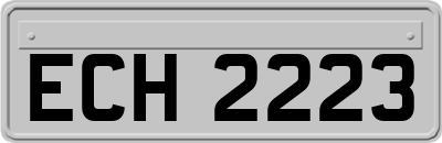 ECH2223