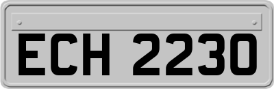 ECH2230
