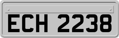 ECH2238