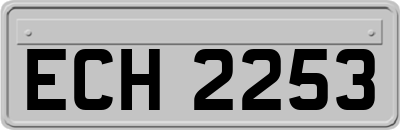 ECH2253