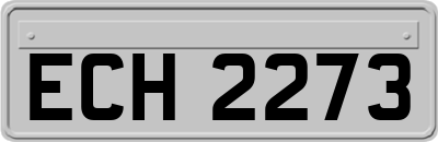 ECH2273