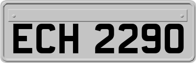 ECH2290
