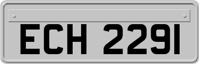 ECH2291