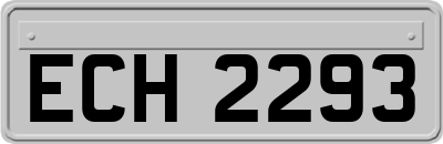 ECH2293