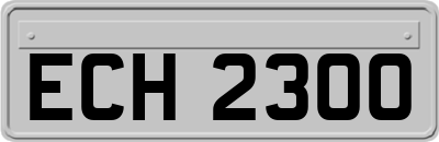 ECH2300