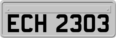 ECH2303