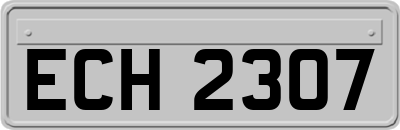 ECH2307