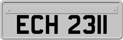 ECH2311