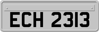 ECH2313
