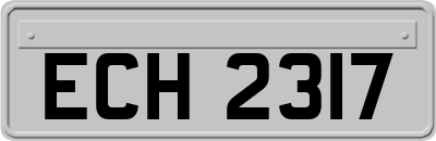 ECH2317