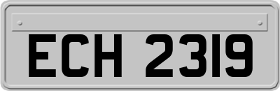 ECH2319