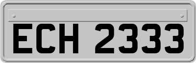 ECH2333