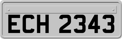 ECH2343