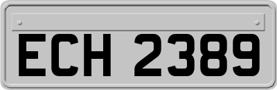 ECH2389