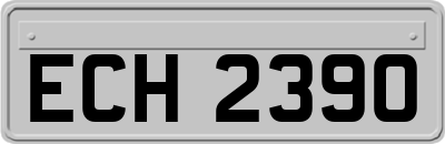 ECH2390