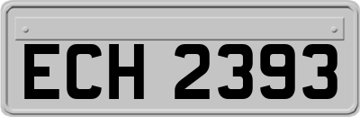 ECH2393