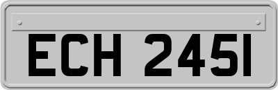 ECH2451