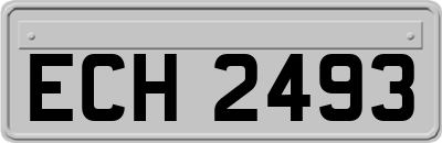 ECH2493