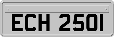 ECH2501