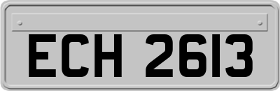 ECH2613