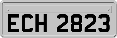 ECH2823