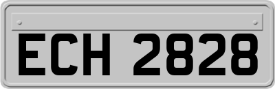 ECH2828