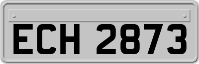 ECH2873