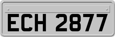 ECH2877