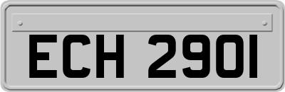 ECH2901