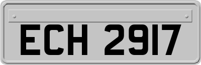 ECH2917