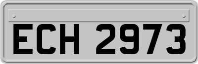 ECH2973