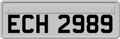 ECH2989