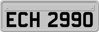 ECH2990