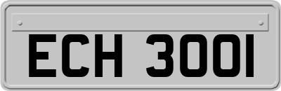 ECH3001