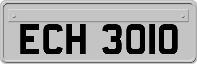 ECH3010