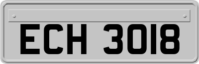 ECH3018