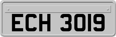 ECH3019