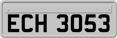 ECH3053