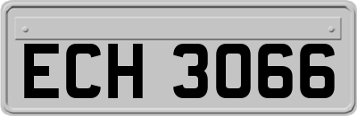 ECH3066