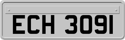 ECH3091