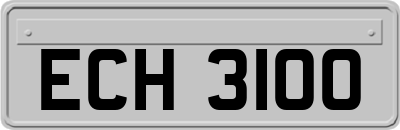 ECH3100