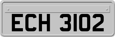 ECH3102