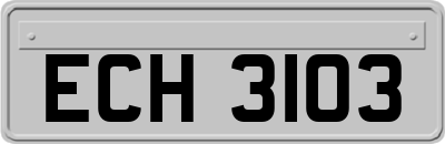 ECH3103