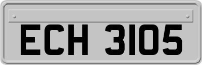 ECH3105