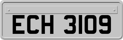 ECH3109