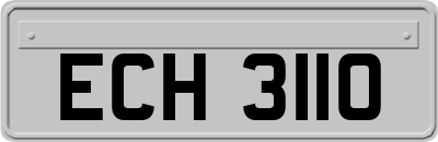 ECH3110