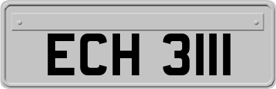 ECH3111