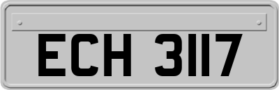 ECH3117