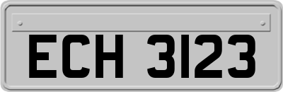 ECH3123